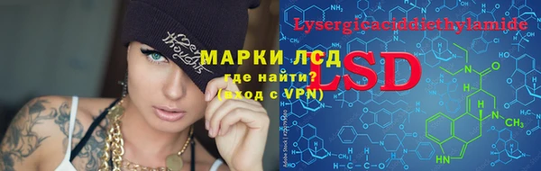 стафф Козельск