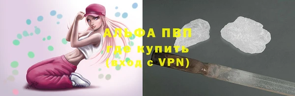 амф Костерёво