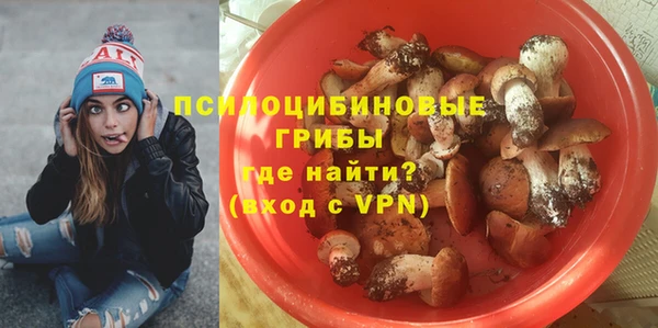 стафф Козельск