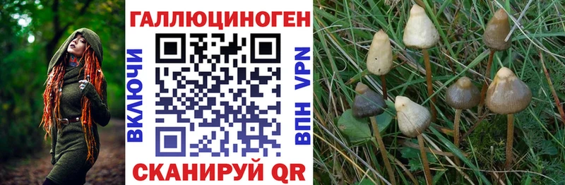 Псилоцибиновые грибы мухоморы  Орск 