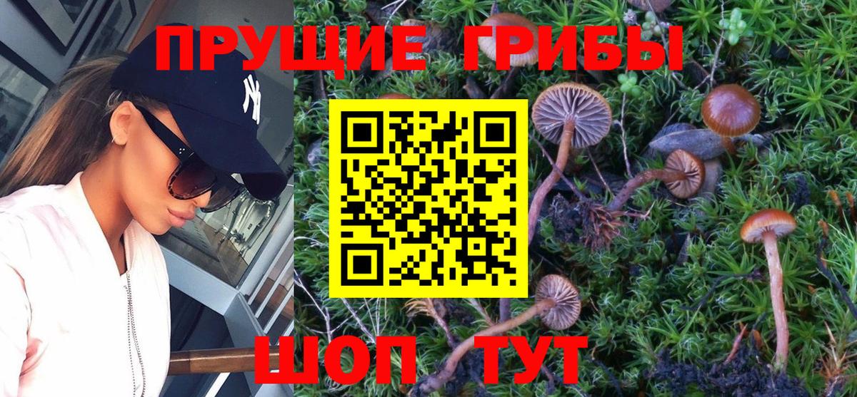 Галлюциногенные грибы прущие грибы Орск