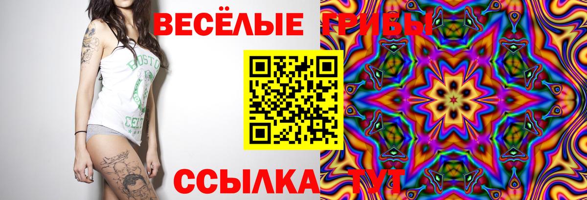 Галлюциногенные грибы Psilocybe  Вход с VPN  как найти   Орск 